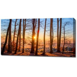 Panoramic canvas prints