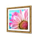 Square frames for pictures