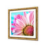 Square frames for pictures, create a modern and stylish look