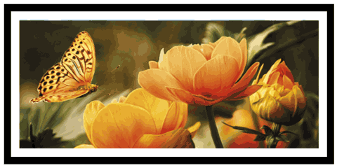 Print and frame displaying a photo of a butterfly perched upon a flower