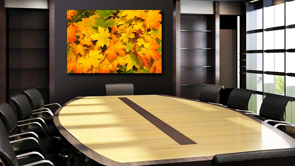Print of autumnal leaves hung in an office meeting room