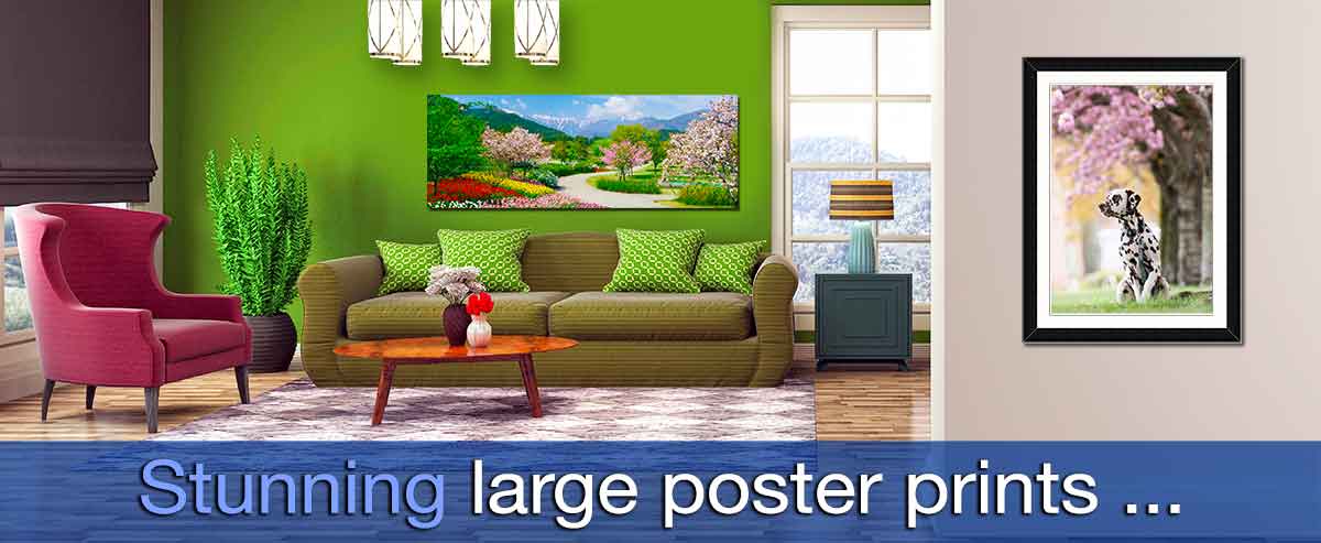 Picture of a sitting room with a framed poster of a dog and a large panoramic print of cherry trees